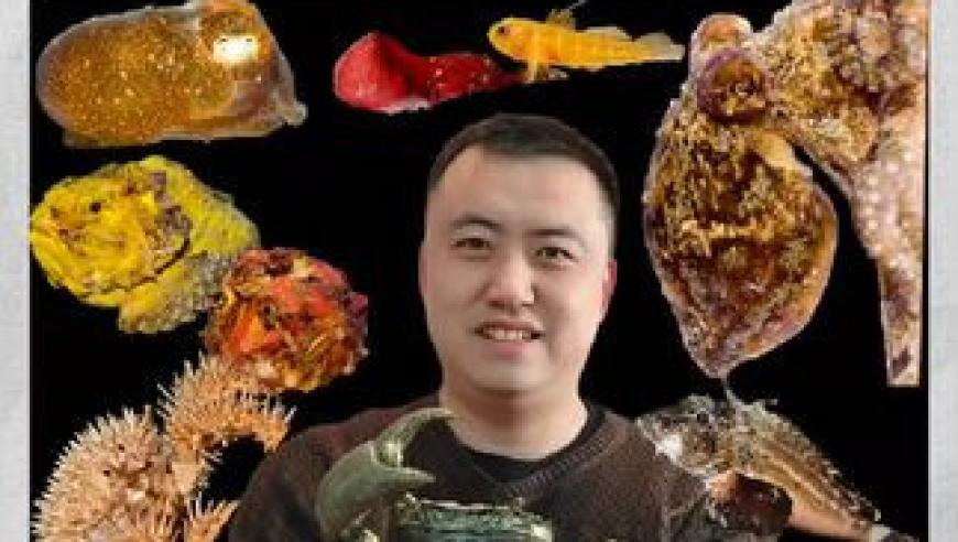 澳门彩网址开奖记录,邓为海棠式演技,公开决策资料解释落实_试用版V11.11