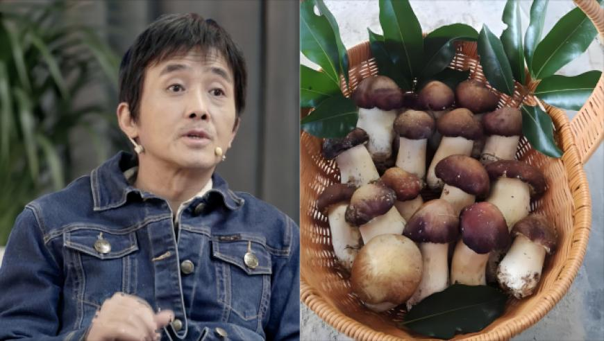 林子祥叶蒨文唱跳八分八,新澳门49图库最快开奖,展开计划实施_升级版V3.81