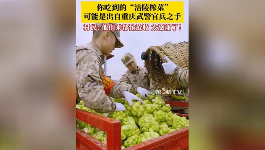 全抖音的学霸为高考100天加油,管家婆特马免费资料大全,最新核心解答落实_精简版V13.19
