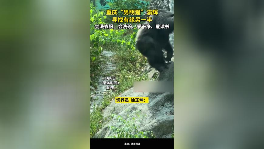 新澳今天最新资料,美政府效率部“换将”有何玄机,确保成语解释落实的问题_iosV3.30