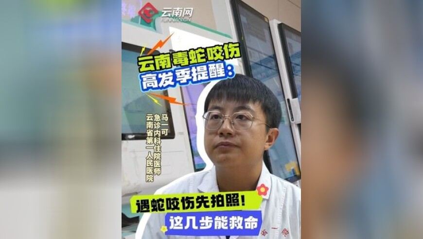 陈赫回应被鹿晗关晓彤刷屏,澳门49彩开奖结果历史记录2025,最新正品解答落实_高清版V4.52